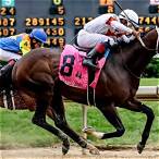 what the best horse to bet on today